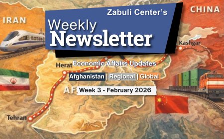 Zabuli Weekly Newsletter Week 3, February 2026 ٍ